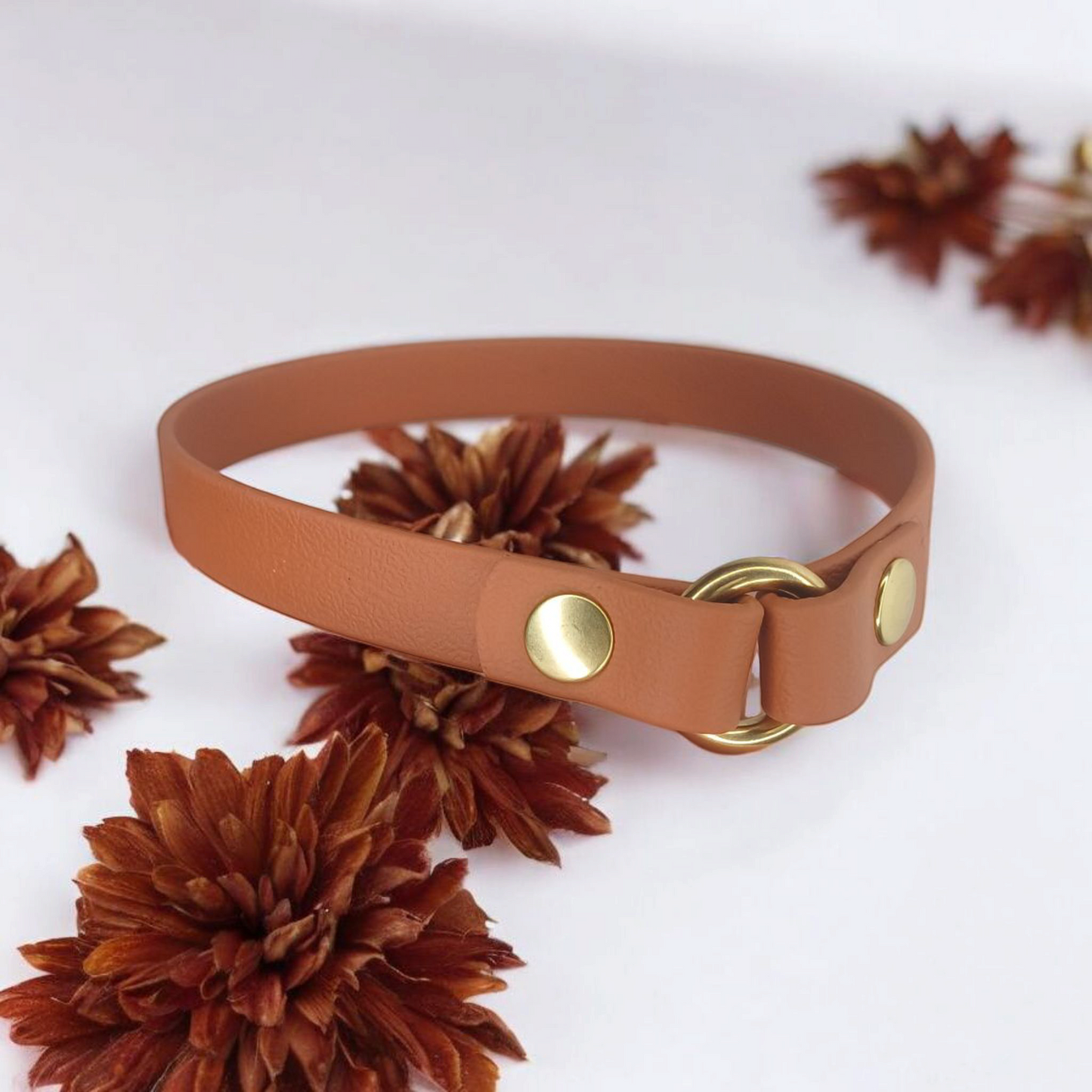 Collier d'identification Biothane