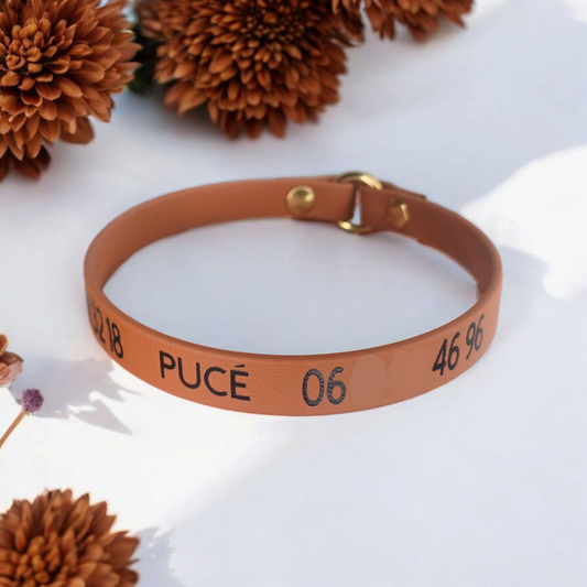 Collier d'identification Biothane