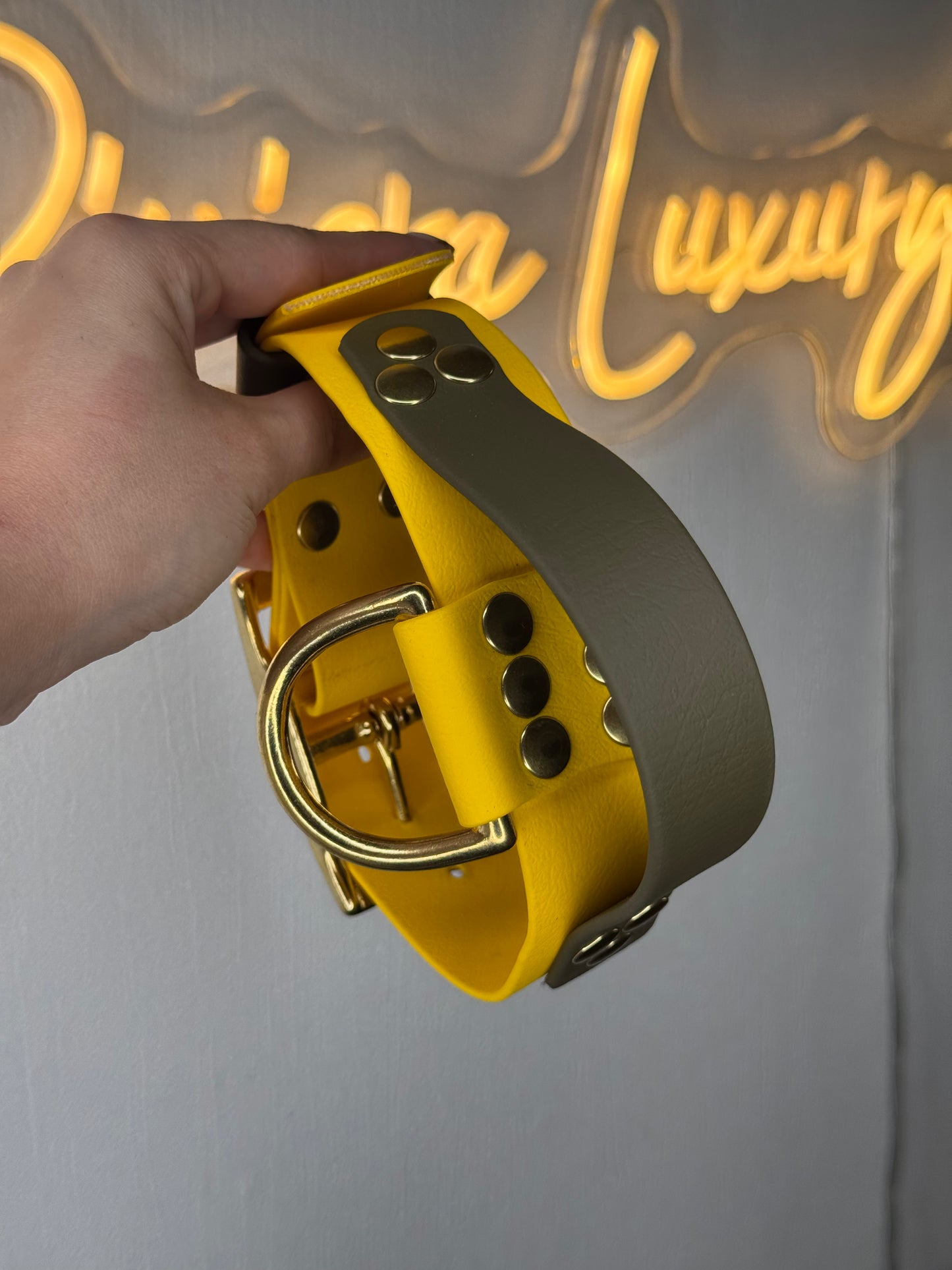 Collier à poignée
