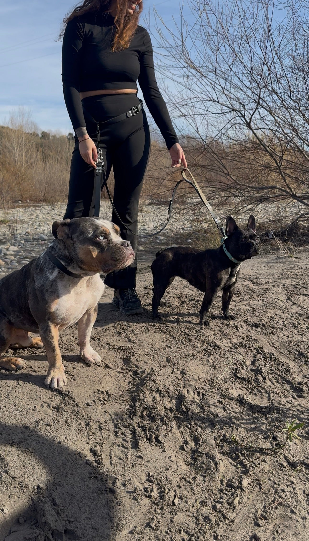La laisse multifonctions coupleur Kifétou (pour 2 chiens)