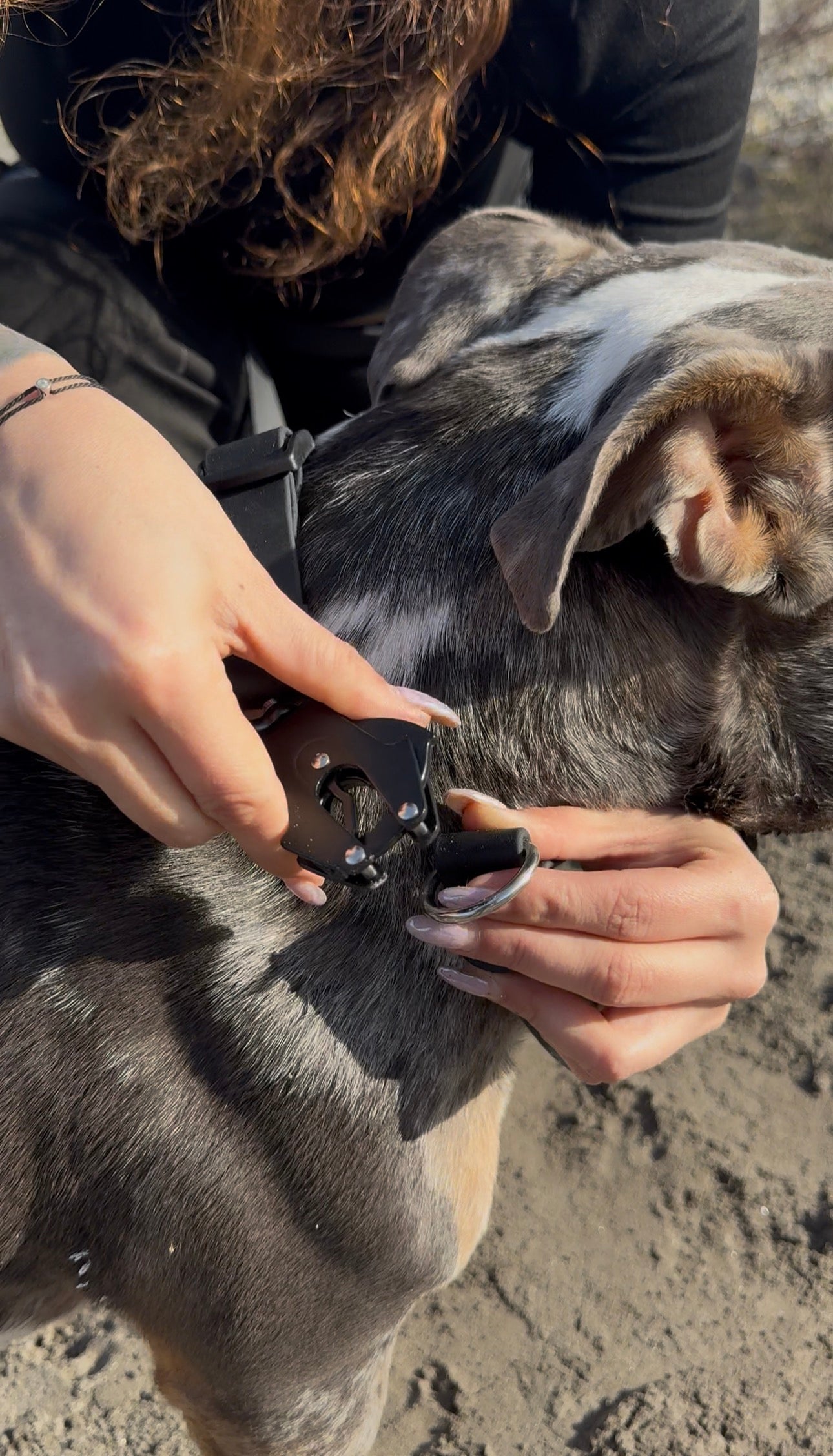 La laisse multifonctions coupleur Kifétou (pour 2 chiens)