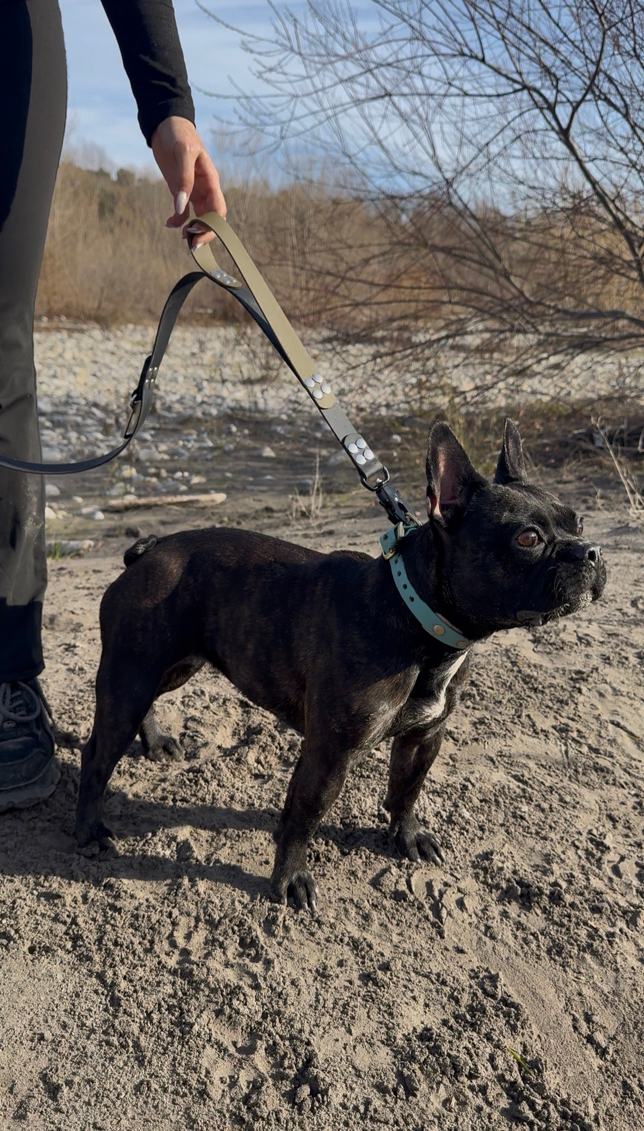 La laisse multifonctions Kifétou