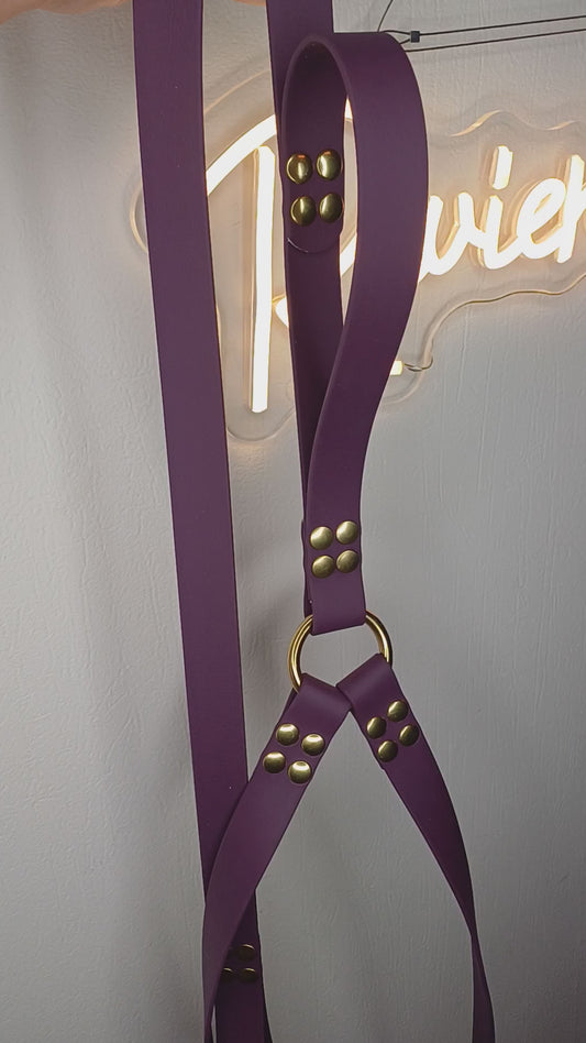 Laisse coupleur à poignée