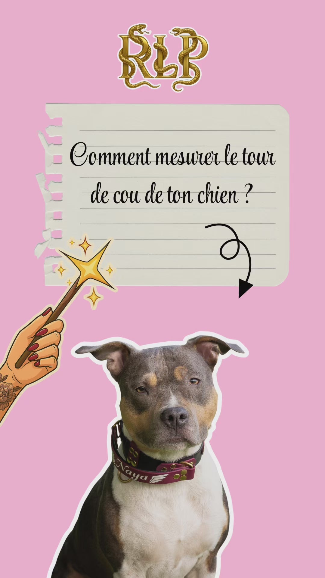 Charger la vidéo : 